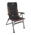 Carp spirit lounge chair
